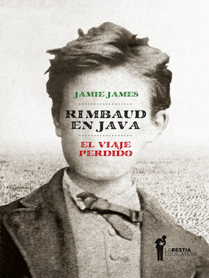 cover image of Rimbaud en Java